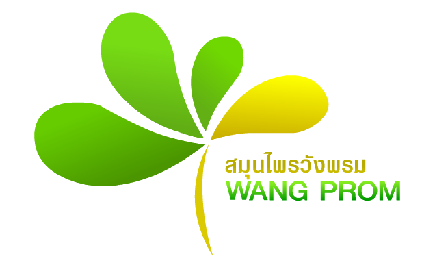 logo wangprom